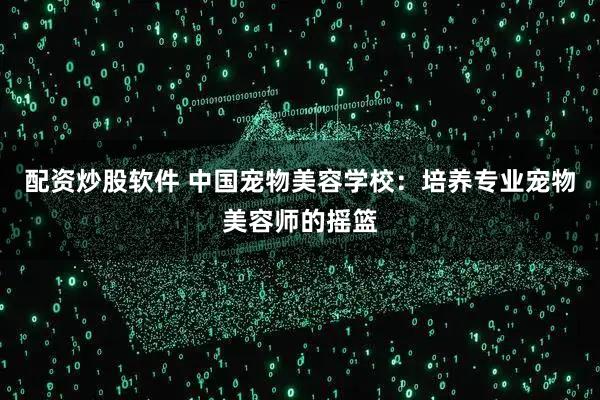 配资炒股软件 中国宠物美容学校：培养专业宠物美容师的摇篮