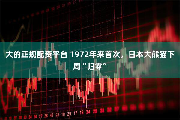 大的正规配资平台 1972年来首次，日本大熊猫下周“归零”
