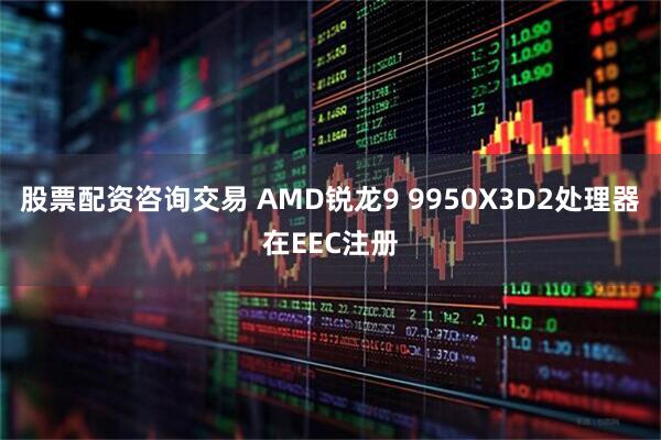股票配资咨询交易 AMD锐龙9 9950X3D2处理器在EEC注册