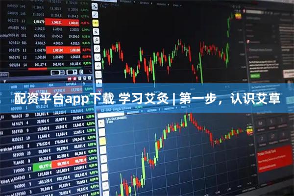 配资平台app下载 学习艾灸 | 第一步，认识艾草