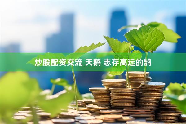 炒股配资交流 天鹅 志存高远的鹄